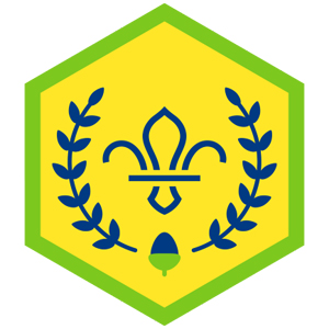 Chief Scout’s Acorn Award